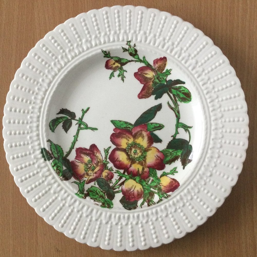 Vintage royal Cauldon plate red flowers floral 24.5cm diameter little chip